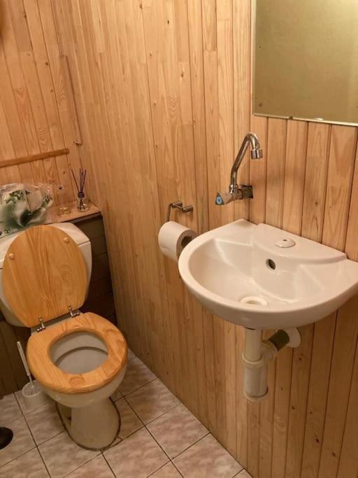 Chalet Pri 7 Jazerach S Vyvysenou Terasou Stiavnicke Bane