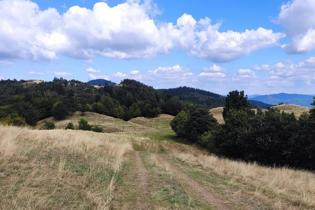 Pri 7 Jazerach S Vyvysenou Terasou Chalet Stiavnicke Bane