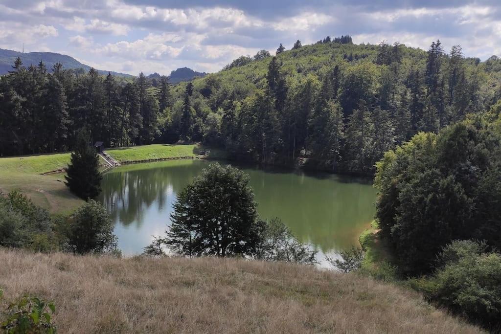 Chalet Pri 7 Jazerach S Vyvysenou Terasou Stiavnicke Bane